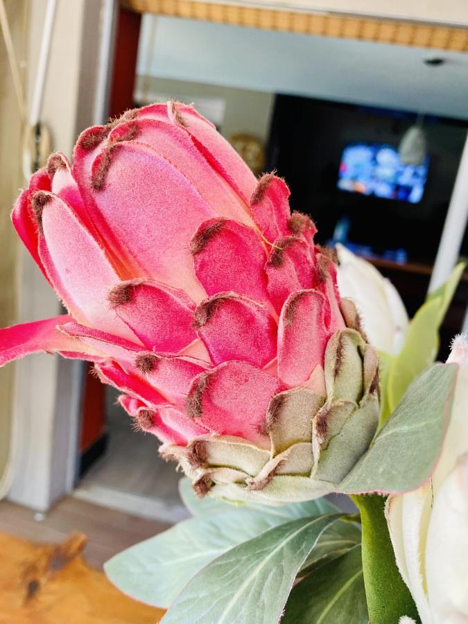 Cottonwood Guesthouse Oasis Bloemfontein Esterno foto