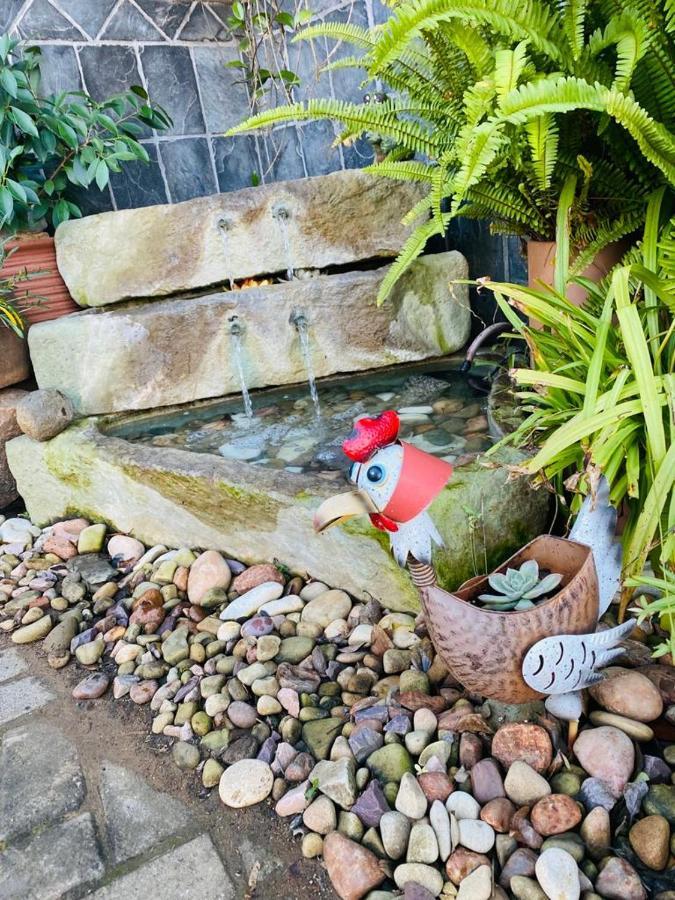 Cottonwood Guesthouse Oasis Bloemfontein Esterno foto